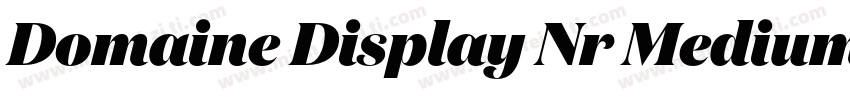 Domaine Display Nr Medium Italic字体转换